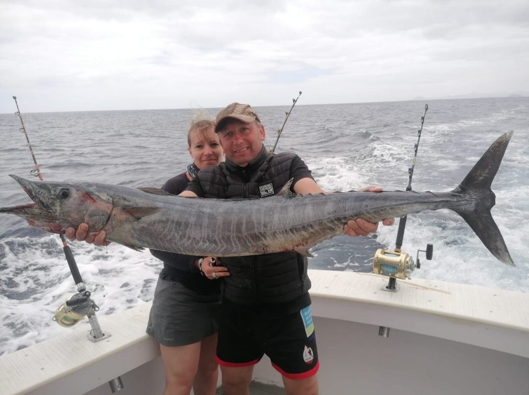 c0b0ec72-2a84-4989-8b84-0c6481efb993